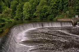 Bernhard Saalfeld - DSC03081 -1
